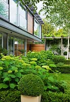 Beds of Hydrangea 'Annabelle' and the house - The Glass House - Architects Terry Farrell Partners - Garden design by Sallis Chandler