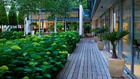 Night view of modern garden with glass pavilion, decking, Betula jacquemontii and Hydrangea 'Annabelle' - The Glass House, Petersham - Architects Terry Farrell Partners - Garden design by Sallis Chandler