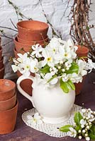White Narcissus and Pear blossom displayed in white china jug