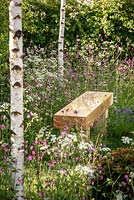 Wooden bench amongst Anthriscus sylvestris - Cow Parsley, Silene dioica - Red Champion, Hyacinthoides non-scripta - Bluebell and Betula pendula stems, 'Bringing Nature Home', show garden, RHS Malvern Spring Festival 2014