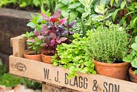 Collection of herbs in vintage wooden crate