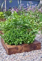 Wooden edged raised bed planted with mint and lovage. Limerick Culture Garden. Large Garden Silver Medal Winner by Ailish Drake at Bloom Garden Festival Ireland 2014.  