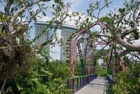 Bridge between the Colonial Garden and Malay Garden - Heritage Gardens with Marina Bay Sands hotel in background, Gardens by the Bay, Singapore