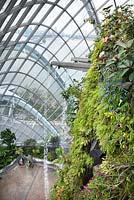 The waterfall in the Cloud Forest, Gardens by the Bay, Singapore