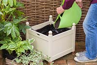 Adding compost to container
