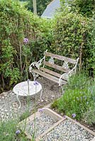 Seat backed with Trachelospermum jasminoides which produces small fragrant white flowers. Parc-Lamp, Ruan Lanihorne, Truro, Cornwall, UK