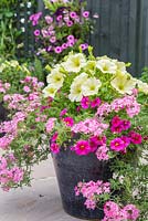 Plants include Calibrachoa 'Hot Pink' Aloha Kona series, Petunia 'Lime Green' and Verbena Salmon 'Suntapiro' Tapien Series. 