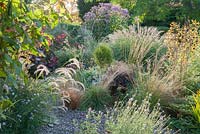 Gravel garden includes shrubs such as Cotinus coggygria 'Grace' and Pittosporum 'Tom Thumb', grasses including Pennisetum orientale 'Tall Tails' and miscanthus, and perennials such as eupatorium, scabious and eryngiums, and even small trees such as upright Amelanchier alnifolia 'Obelisk' - Windy Ridge