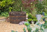 Wooden barrel for Japanese themed container with plants including, Thuja occidentalis 'Teddy', Acer palmatum 'Bloodgood', Pratia pedunculata 'Alba', Saxifraga 'Peter Pan', Hebe and Miscanthus sinensis 'Morning Light'. 