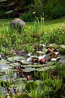 Informal pond