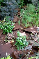 Paradigme. Rusted jigsaw metal pieces as decoration just above the surface filled with brown-orange pebbles. Heuchera and small rose ready for blooming planted in between.