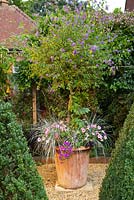 Mixed container combinations and display. August. Summer.