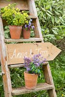 Wedding sign on ladder accompanied with Nepeta, Cerinthe major 'Purpurascens', Harebells, Alchemilla mollis and Parsley flowers.