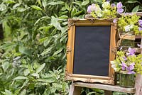 Blank sign on ladder accompanied with Sweet pea and Alchemilla mollis