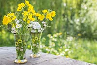 Floral display of Ranunculus acris and Bellis perennis in small glass vases.