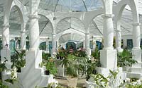 Jardim Boatnico, Rio de Janeiro -  Bromelias greenhouse