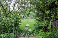 Clearing an overgrown path - Cleared pathway with Buddleja globosa cuttings on the floor.