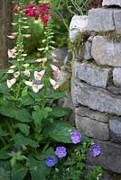 The Forgotten Folly. Designers: Lynn Riches and Mark Lippatt (Horticolous Landscape)