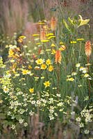 Hemerocalis, Deschampsia cespitosa 'Bronzeschleier', Alpine strawberry, coreopsis, Achillea 'Coronation Gold' (Yarrow) and kniphofia - The Jordans Wildlife Garden, RHS Hampton Court Flower Show 2014
 