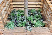 Planting in shipping pallet enclosure - The World Vision Garden. Designer: John Warland. Sponsors: World Vision  