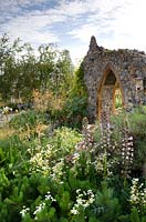 Heath planting of low-growing Pinus with acanthus and ruined flint medieval priory church  