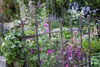 The Forgotten Folly - view of cottage garden through metal gate with foxgloves hollyhocks ivy and ferns - Designer - Lynn Riches and Mark Lippiatt - Horticolous Landscape and Garden Design