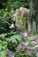 The Forgotten Folly - view of garden folly with rambling rose stone steps and gunnera in shady corner with ferns 