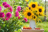 Displays of harvested vegetables and bouquet of  sunflowers and perennials Persicaria, Verbena bonariensis and Solidago in enamel jug on ladder in summer garden.