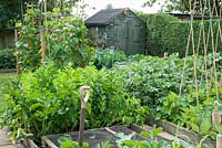 Small vegetable garden with raised beds and shed