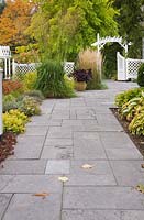 Grey flagstone path leading to a arbour through a white picket fence in front garden in autumn. Plants include Sedum spurium, Alchemilla mollis, Kleine 'Silberspinne', Miscanthus sinensis and a Robinia pseudoacacia 'Frisia' tree in the background. Il Etait Une Fois garden, Monteregie, Quebec, Canada. 
