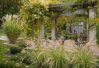 Garden table and chairs underneath a wood and concrete pergola covered with Actinidia kolomikta 'Arctic Beauty' and Pennisetum setaceum 'Sky Rocket' in backyard garden in autumn. Il Etait Une Fois garden, Monteregie, Quebec, Canada. 