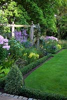 Herbaceous border. Phlox 'Bright Eyes', Thalictrum 'Hewitts double'