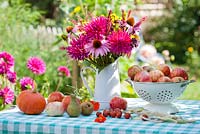 Displays of harvested fruits and vegetables and jug of perennials (Echinacea purpurea, Persicaria 'Firetail', Verbena bonariensis, dahlia) in summer country garden. Colander of  Apples Malus 'Gravensteiner', Pears 'Conferance', Squash 'Hokkaido' and Cherry tomatoes.