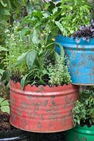 A space to Connect and Grow, recycled industrial materials, such as oil drums planted with vegetables. Designer: Jeni Cairns and Sophie Antonelli - Sponsor: Metal, Earls Scaffolding, British Sugar