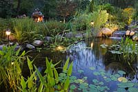 Pond at dusk with heart shaped pontederia cordata - pickerel weed and Nymphaea alba - water lilies in a backyard garden in summer, Laurentians, Quebec, Canada