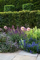 Courtyard Garden with clipped Yew hedges and Herbaceous borders in Summer, Alliums, Salvia, Veronica, Stone paving slabs.