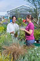 Female customer receiving advice on grasses, from an employee at a garden centre
