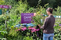 Female customer browsing Damp shade themed plants at a garden centre.
