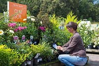 Female customer browsing Clay soil themed plants at a garden centre.