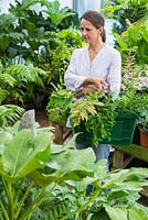 Woman browsing plants for sale in shady section of a garden centre