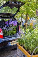 A car boot not large enough to carry purchased plants from a garden centre