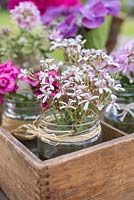 Floral arrangement of scented Pelargoniums and Dianthus barbatus in vintage glass jars