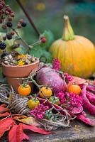 Autumnal display of Onion, Tomatoes, Climbing Bean 'Borlotto Lingua di Fuoco', Rubus fruticosus, Gourd and Calendula seed heads.