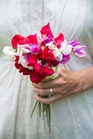 Woman holding bouquet of sweet peas