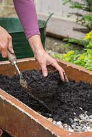 Adding rotted compost to container over layer of gravel stones for drainage 