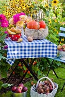 Harvested vegetables and fruits and jug of Dahlias on the table with Pears 'Abate Fetel', onions and pumpkin 'Hokkaido'