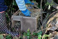 Woman installing hedgehog house in garden