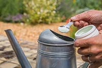 Mixing citrus feed with water