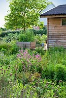 Gabriel's Garden, Norfolk. May, Spring. View of studio surrounded by cutting garden and herbs in raised beds.