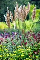 Cortaderia selloana 'Patagonia', Persicaria amplexicaulis 'Taurus' and Euphorbia wallichii. The Bressingham Gardens, Norfolk, July.